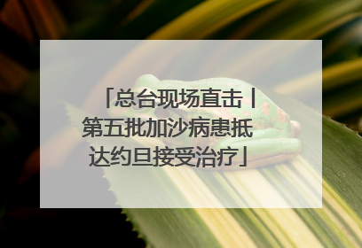 总台现场直击丨第五批加沙病患抵达约旦接受治疗