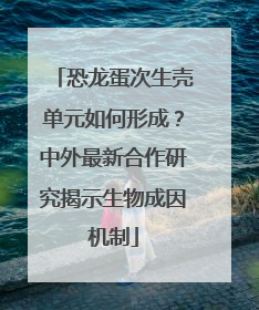 恐龙蛋次生壳单元如何形成？中外最新合作研究揭示生物成因机制