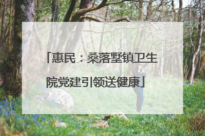 惠民：桑落墅镇卫生院党建引领送健康