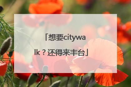 想要citywalk？还得来丰台