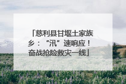 慈利县甘堰土家族乡：“汛”速响应！奋战抢险救灾一线