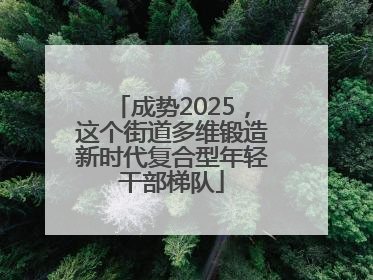 成势2025，这个街道多维锻造新时代复合型年轻干部梯队