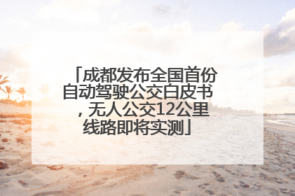 成都发布全国首份自动驾驶公交白皮书，无人公交12公里线路即将实测