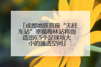 成都地铁首座“无柱车站”幸福梅林站将创造出6.5个足球场大小的通透空间