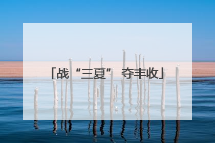 战“三夏” 夺丰收