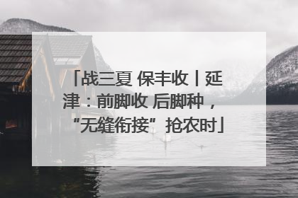战三夏 保丰收丨延津：前脚收 后脚种，“无缝衔接”抢农时