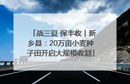 战三夏 保丰收丨新乡县：20万亩小麦种子田开启大规模收割