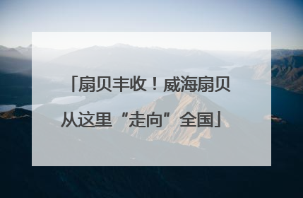 扇贝丰收！威海扇贝从这里“走向”全国
