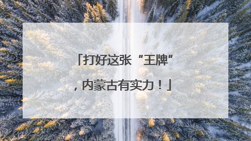打好这张“王牌”，内蒙古有实力！