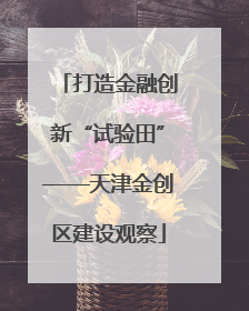 打造金融创新“试验田”——天津金创区建设观察