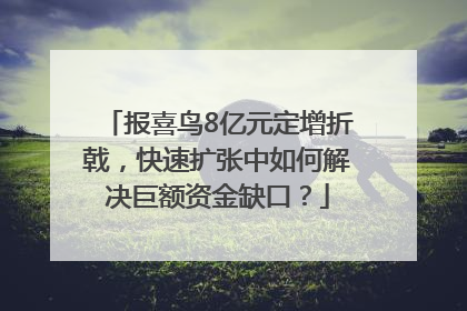 报喜鸟8亿元定增折戟，快速扩张中如何解决巨额资金缺口？