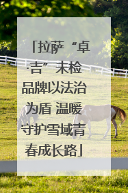 拉萨“卓·吉”未检品牌以法治为盾 温暖守护雪域青春成长路