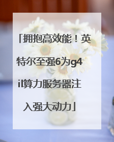 拥抱高效能！英特尔至强6为g4il算力服务器注入强大动力