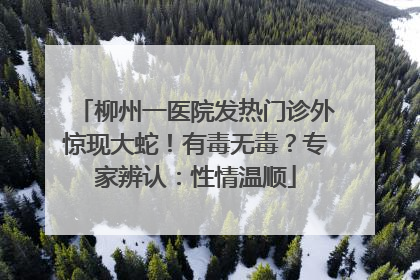 柳州一医院发热门诊外惊现大蛇！有毒无毒？专家辨认：性情温顺