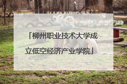 柳州职业技术大学成立低空经济产业学院