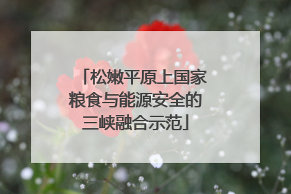 松嫩平原上国家粮食与能源安全的三峡融合示范