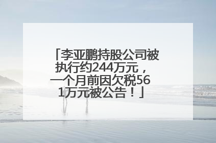 李亚鹏持股公司被执行约244万元，一个月前因欠税561万元被公告！