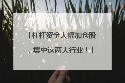 杠杆资金大幅加仓股，集中这两大行业！