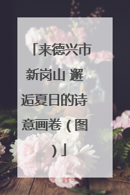 来德兴市新岗山 邂逅夏日的诗意画卷（图）