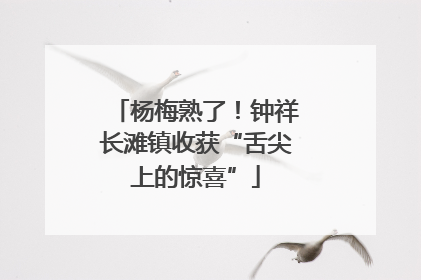 杨梅熟了！钟祥长滩镇收获“舌尖上的惊喜”