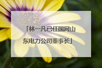 林一凡已任国网山东电力公司董事长