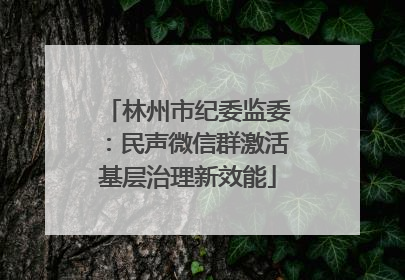 林州市纪委监委：民声微信群激活基层治理新效能
