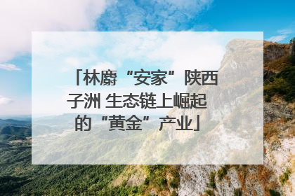 林麝“安家”陕西子洲 生态链上崛起的“黄金”产业