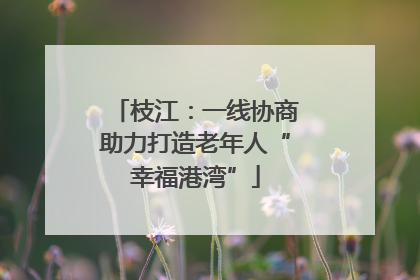 枝江：一线协商助力打造老年人“幸福港湾”
