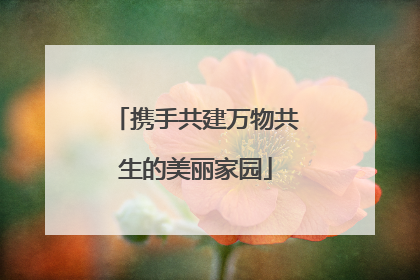 携手共建万物共生的美丽家园