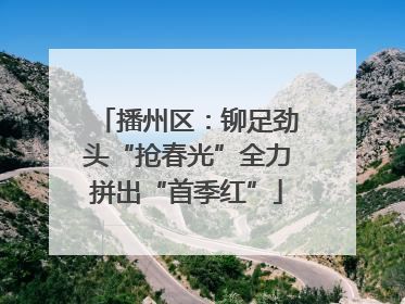 播州区：铆足劲头“抢春光”全力拼出“首季红”