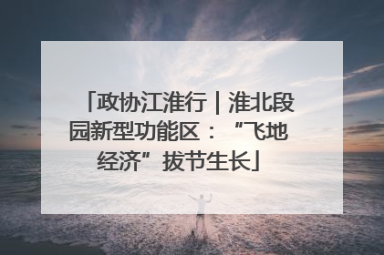 政协江淮行｜淮北段园新型功能区：“飞地经济”拔节生长