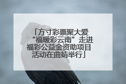 方寸彩票聚大爱 “福暖彩云南”走进福彩公益金资助项目活动在曲靖举行