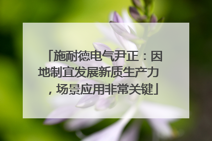 施耐德电气尹正：因地制宜发展新质生产力，场景应用非常关键