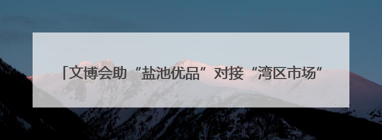文博会助“盐池优品”对接“湾区市场”！宁夏吴忠市盐池县签约28.44亿元