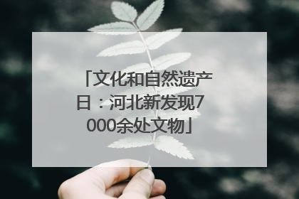 文化和自然遗产日：河北新发现7000余处文物