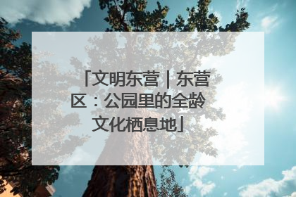 文明东营｜东营区：公园里的全龄文化栖息地