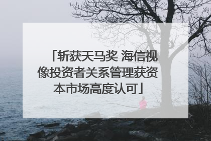 斩获天马奖 海信视像投资者关系管理获资本市场高度认可