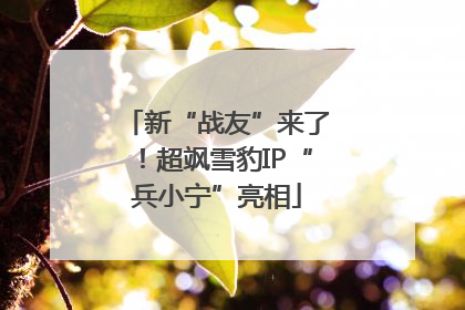 新“战友”来了！超飒雪豹IP“兵小宁”亮相