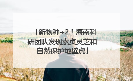 新物种+2！海南科研团队发现素贞灵芝和自然保护地壁虎