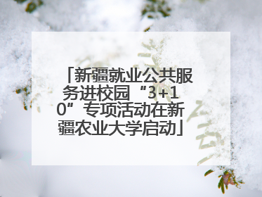 新疆就业公共服务进校园“3+10”专项活动在新疆农业大学启动