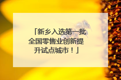 新乡入选第一批全国零售业创新提升试点城市！