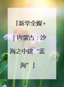 新华全媒+｜内蒙古：沙海之中建“蓝海”