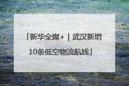 新华全媒+｜武汉新增10条低空物流航线