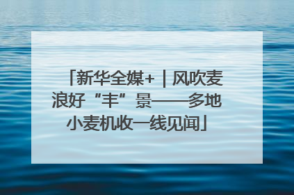 新华全媒+｜风吹麦浪好“丰”景——多地小麦机收一线见闻