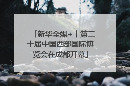 新华全媒+丨第二十届中国西部国际博览会在成都开幕