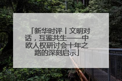 新华时评丨文明对话，互鉴共生——中欧人权研讨会十年之路的深刻启示