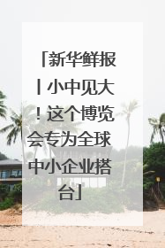 新华鲜报丨小中见大！这个博览会专为全球中小企业搭台