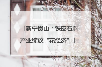 新宁崀山：铁皮石斛产业绽放“花经济”