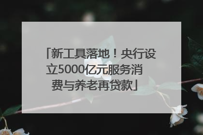 新工具落地！央行设立5000亿元服务消费与养老再贷款