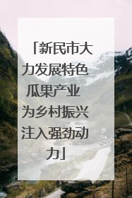 新民市大力发展特色瓜果产业 为乡村振兴注入强劲动力